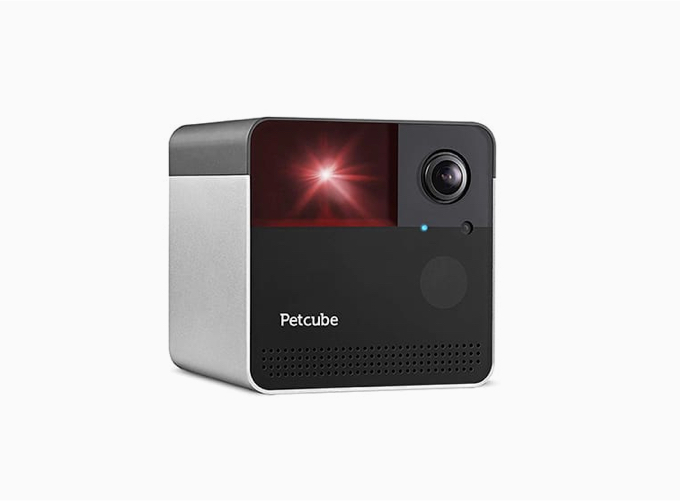 PET CAMERA WITH LASER TOY