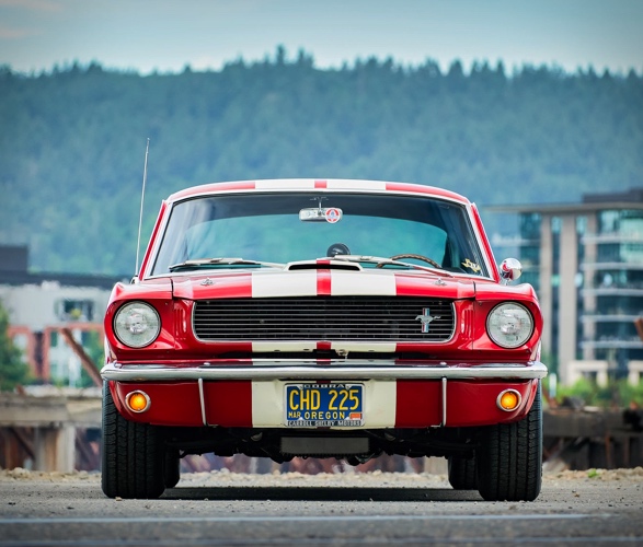 1966-shelby-mustang-gt350-4.jpg | Image