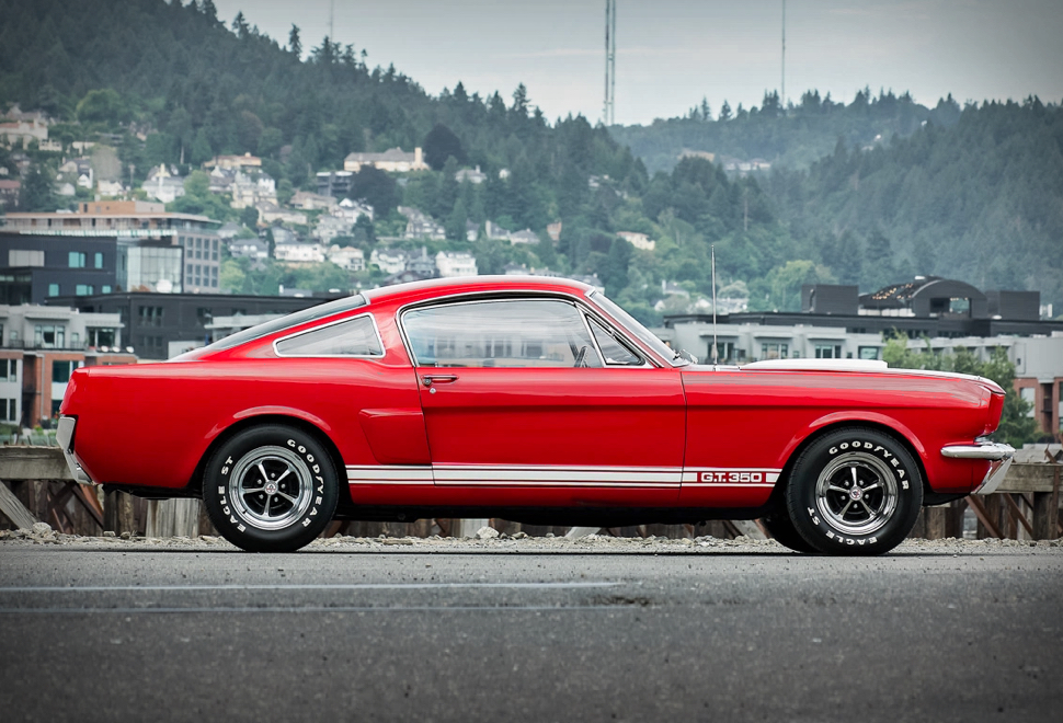 1966 Shelby Mustang GT350 | Image