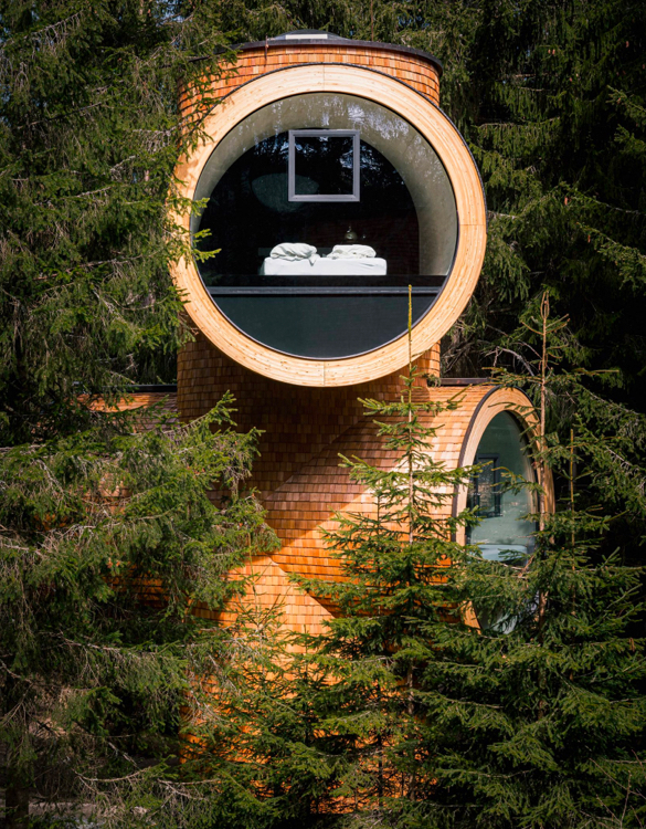 bert-modular-treehouse-3.jpeg | Image