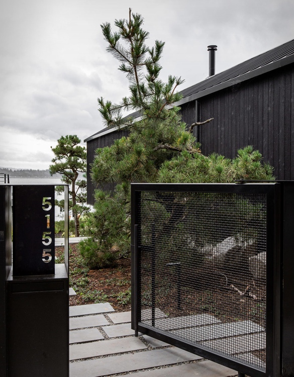 black-pine-cabin-4.jpg | Image
