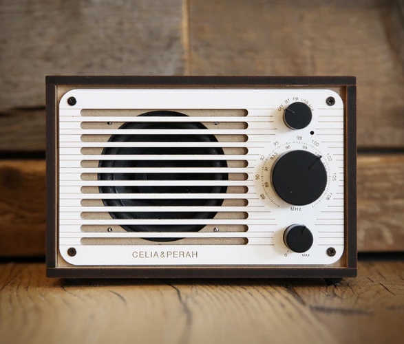 celia-perah-diy-bluetooth-speaker-3.jpg | Image