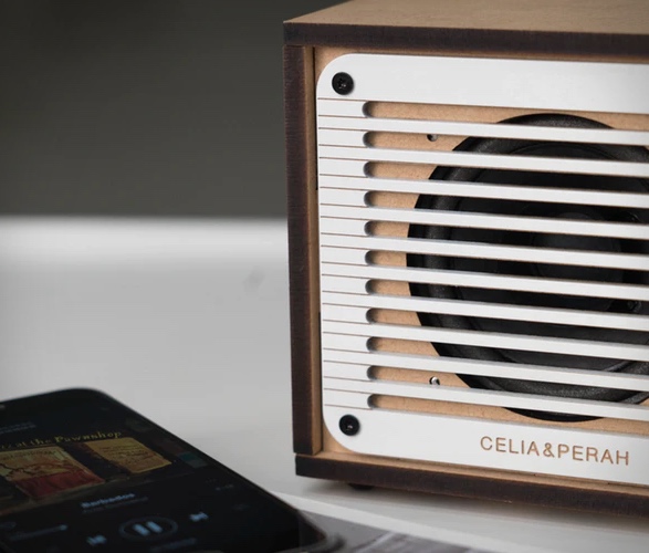 celia-perah-diy-bluetooth-speaker-5.jpg | Image