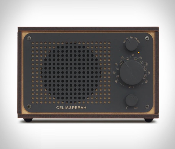 celia-perah-diy-bluetooth-speaker-7.jpg
