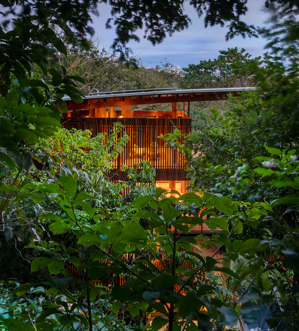 costa-rica-treehouse-8.jpg