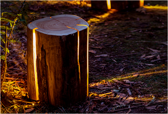 CRACKED LOG LAMPS | Image