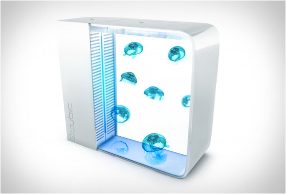 cubic-desktop-jellyfish-aquarium-3.jpg | Image