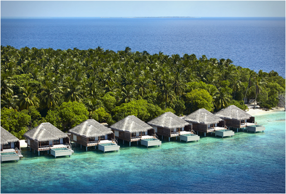 dusit-thani-maldives-4.jpg | Image