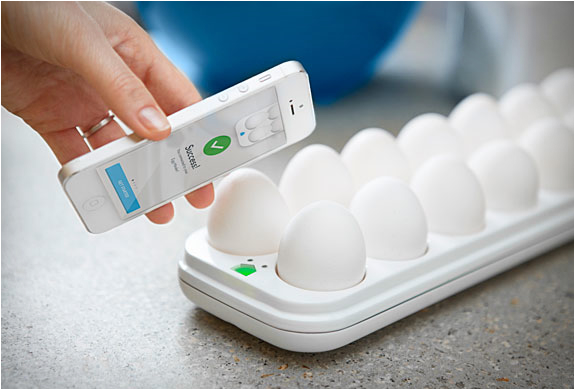 Egg Minder | Smart Egg Tray | Image