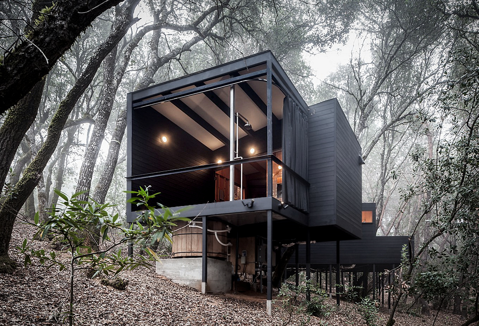 FOREST HOUSE | Image