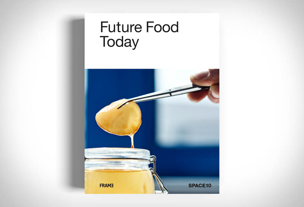 FUTURE FOOD TODAY | Image