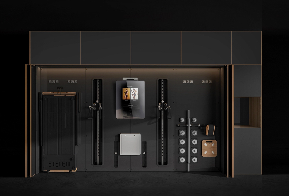 G-Wall Modular Home Fitness System | Image