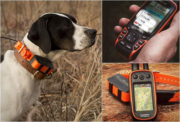 Garmin Astro | Dog Tracking System | Image