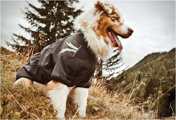 Dog Outdoor Overalls | By Hurtta | Image