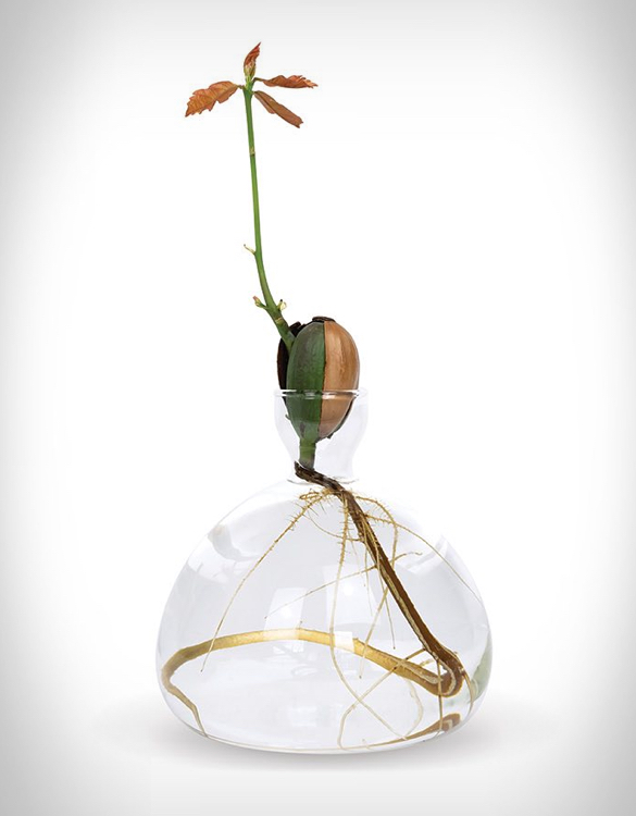 ilex-studio-avocado-vase-3.jpg | Image