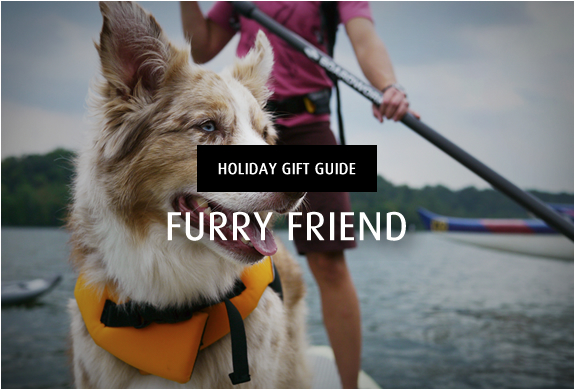 HOLIDAY GIFT GUIDE | FURRY FRIEND | Image
