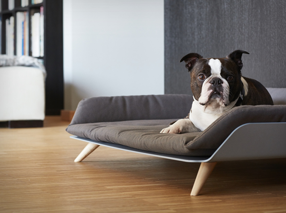 letto-dog-bed-2.jpg | Image