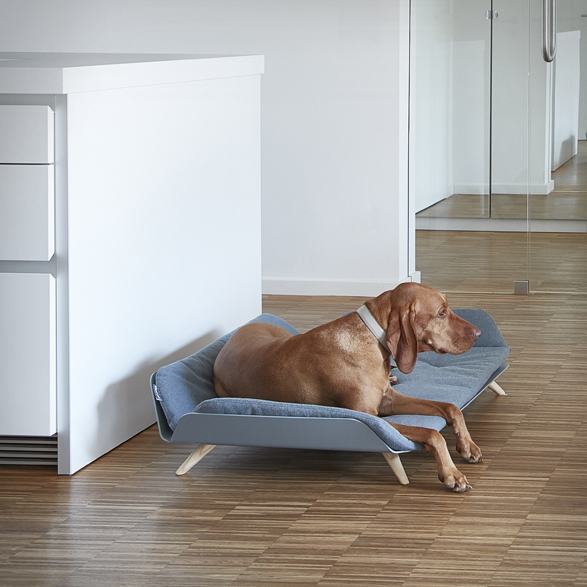 letto-dog-bed-4.jpg | Image