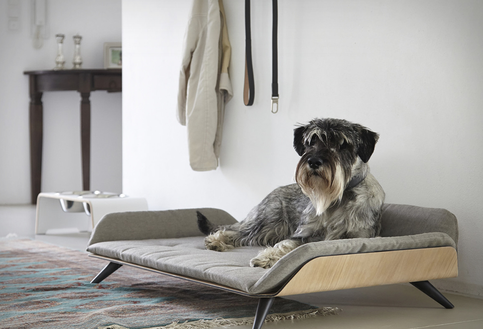 LETTO DOG BED | Image