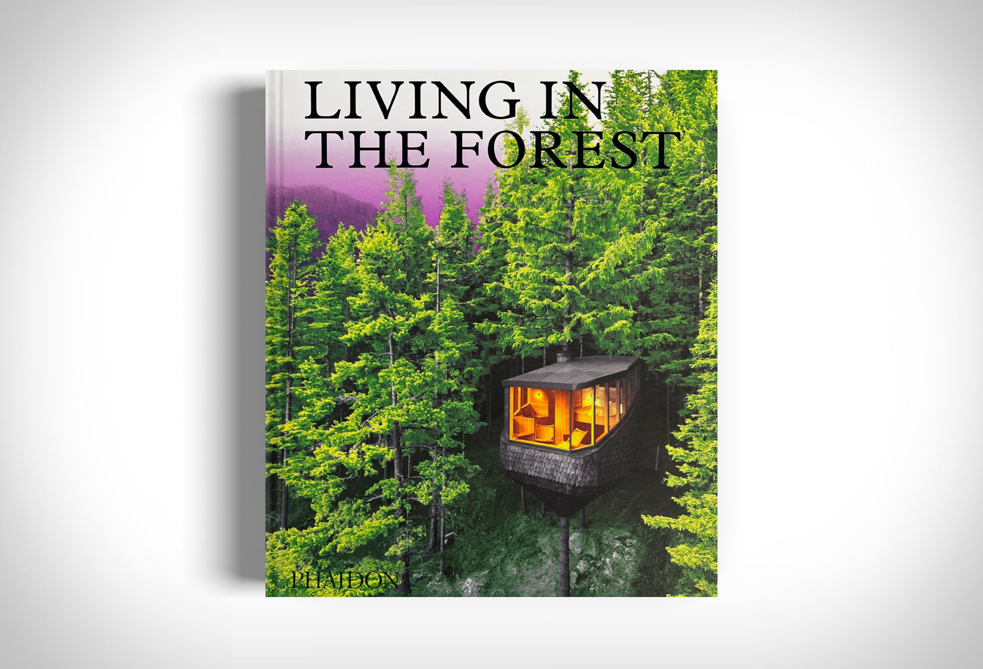 Living In The Forest | Image