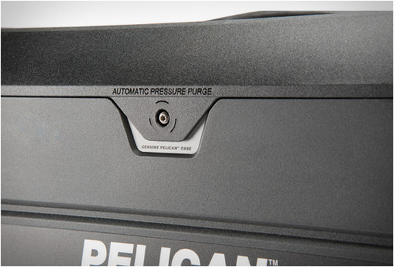 пеликан-элита-багаж-9.jpg