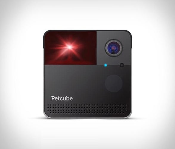 petcube-play-3.jpg | Image