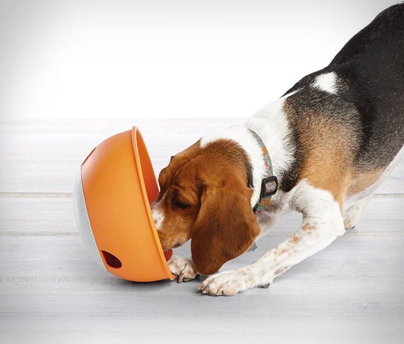 puzzle-feeder-dog-bowl-2.jpg | Image