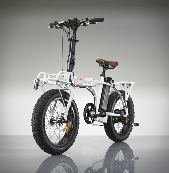 radmini-electric-fat-bike-3.jpg | Image
