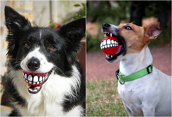ROGZ GRINZ | FUNNY SMILE DOG TOY | Image