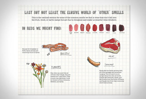 scratch-sniff-wine-guide-3.jpg | Image