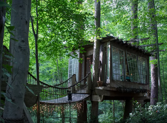 secluded-intown-treehouse-11.jpg