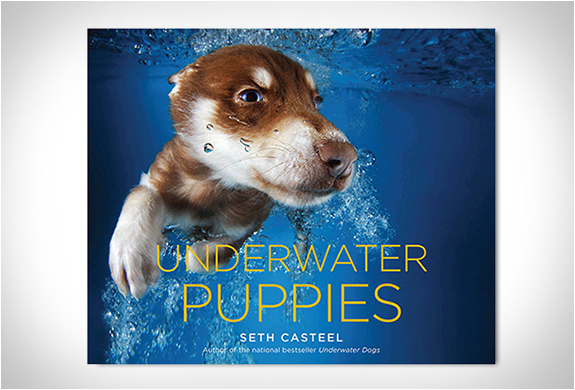 Underwater Puppies | By Seth Casteel | Image