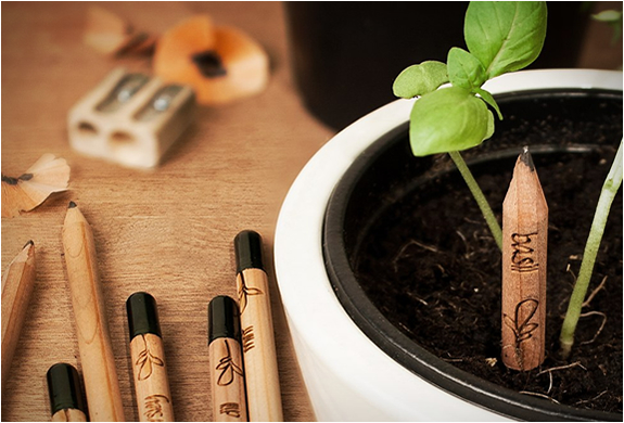 Sprout | A Pencil That Grows | Image