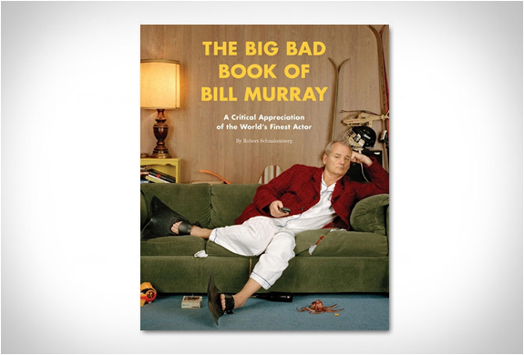 THE BIG BAD BOOK OF BILL MURRAY | Image