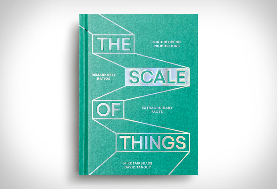 The Scale Of Things | Image