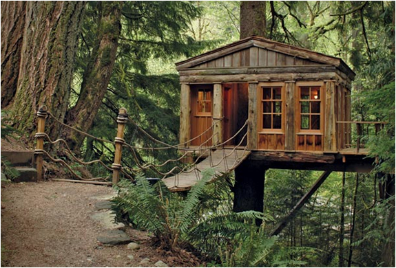 Treehouse Point | Image
