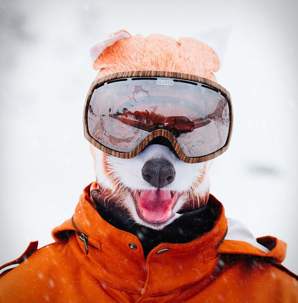 ultra-realistic-animal-ski-masks-2.jpg | Image