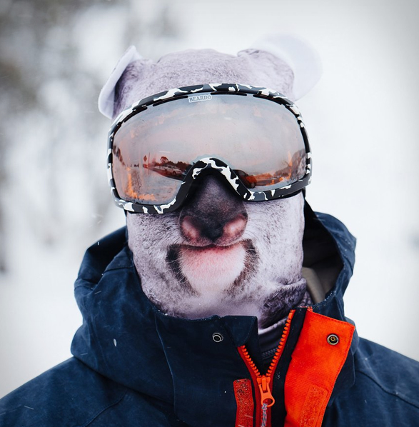 ultra-realistic-animal-ski-masks-4.jpg | Image