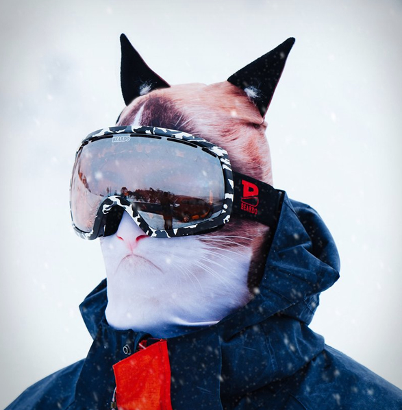 ultra-realistic-animal-ski-masks-6.jpg
