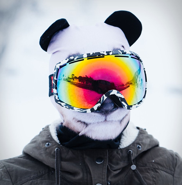 ultra-realistic-animal-ski-masks-7.jpg