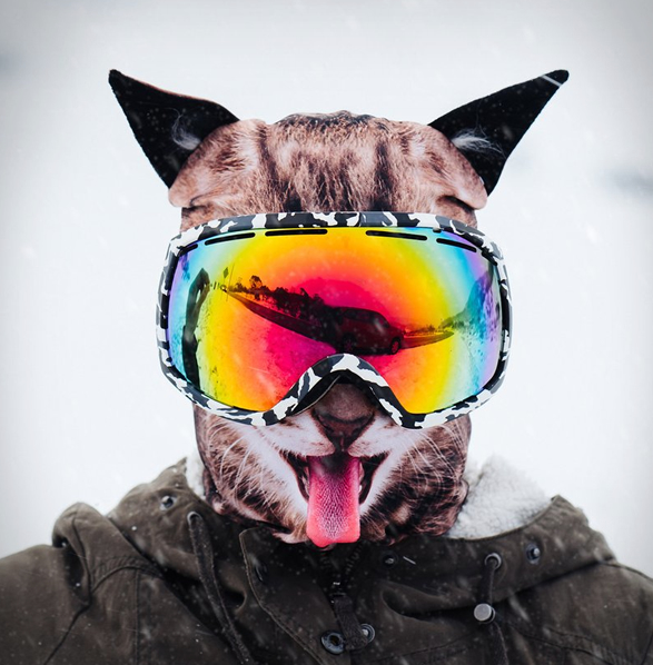 ultra-realistic-animal-ski-masks-8.jpg