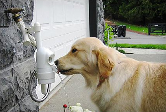 waterdog-automatic-pet-drinking-fountain-2.jpg | Image