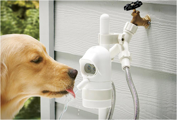 Waterdog | Automatic Pet Drinking Fountain | Image